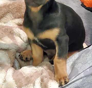 Photo of little man