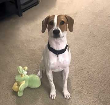 Photo of Cali