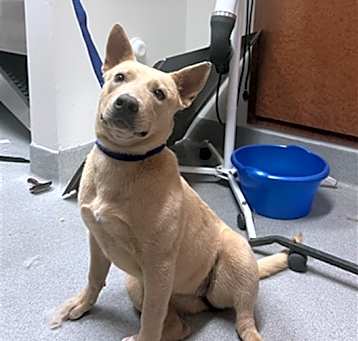 Photo of WINNIE