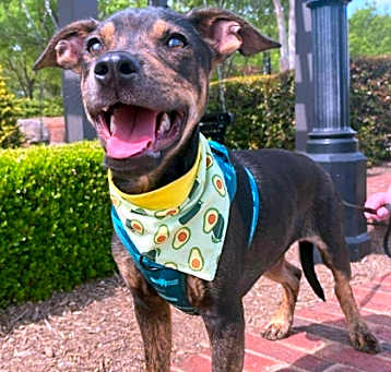 Photo of Finn