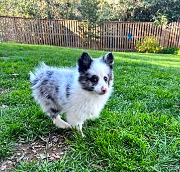 Photo of Lucy
