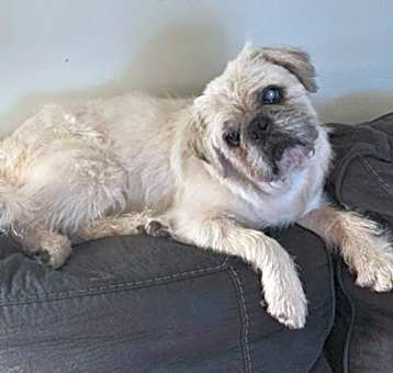Photo of Willy