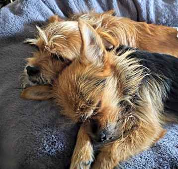 Photo of Cinnamon & Coffee