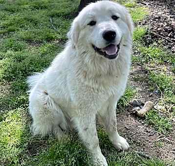 Photo of Cain