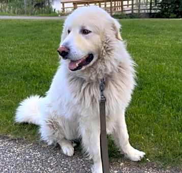 Photo of Kilo