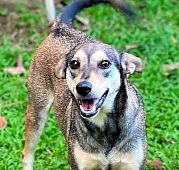 Photo of SANDY GOLD
