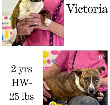 Photo of Victoria