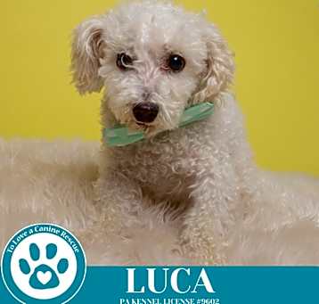 Photo of Luca 111624