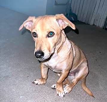 Photo of Thunder