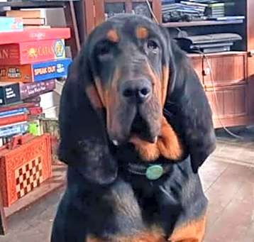 Photo of Ready To Roll Rufus