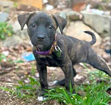 Photo of Shania
