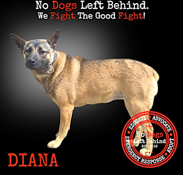 Photo of Diana 7427