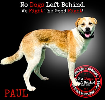 Photo of Paul 9393