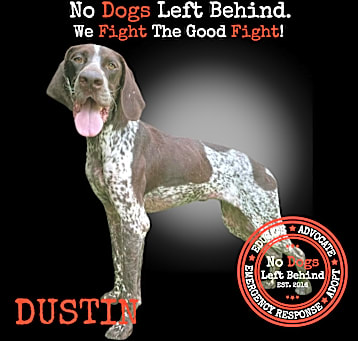 Photo of Dustin8339