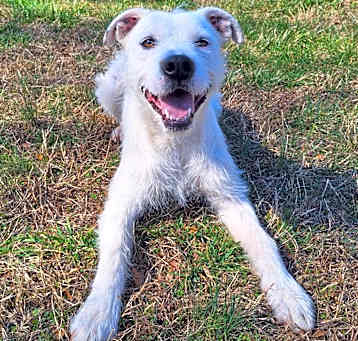 Photo of Duke
