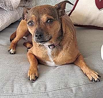 Photo of Tasha
