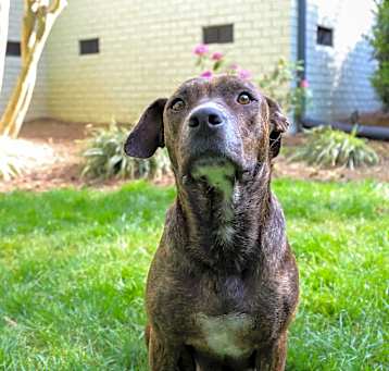 Photo of Lucy