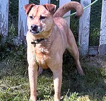 Photo of Sandy