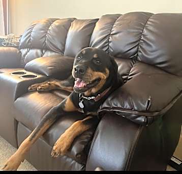 Photo of Roxy