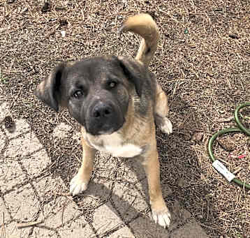 Photo of Kita