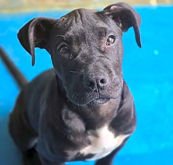 Photo of Clyde