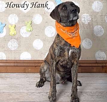 Photo of Howdy Hank