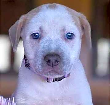Photo of Namaste