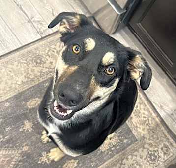 Photo of Indi
