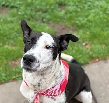 Photo of SPRINKLES