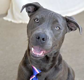 Photo of Blue