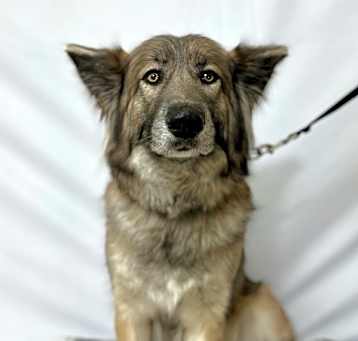Photo of Xena