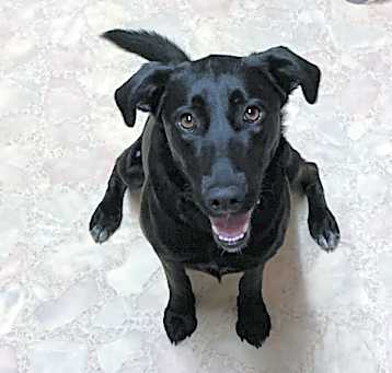 Photo of Ellie