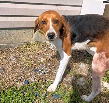 Photo of Maggie