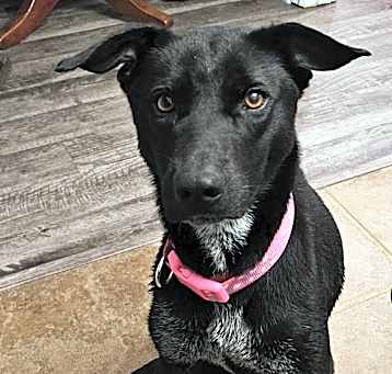 Photo of Skyla