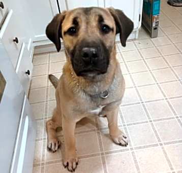 Photo of Sammy
