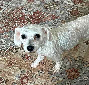 Photo of LucyLou