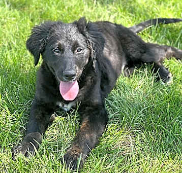 Photo of Elara