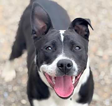 Photo of Molly
