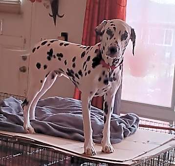 Photo of Zeus