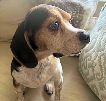 Photo of Lucy Loo