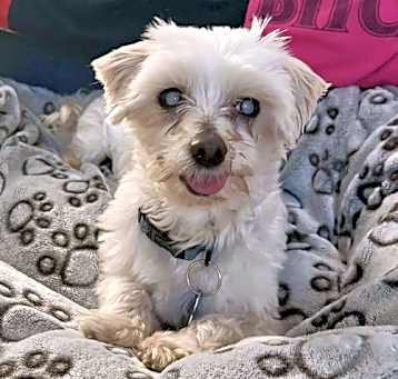 Photo of Oakley