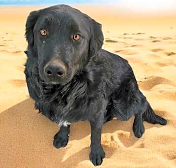 Photo of CIAO