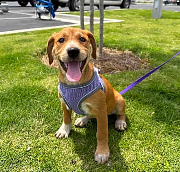 Photo of Cinnamon 