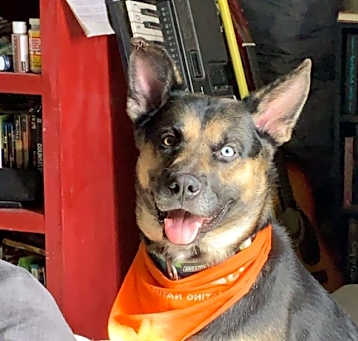 Photo of Percy