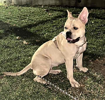 Photo of Ares