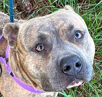 Photo of Blue