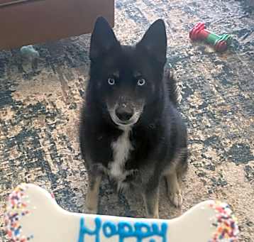 Photo of Max