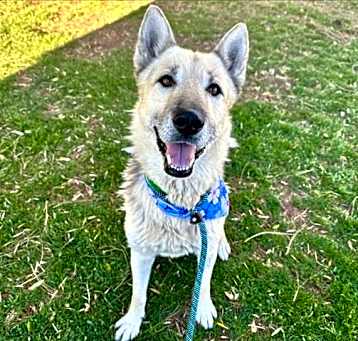 Photo of CASTIEL