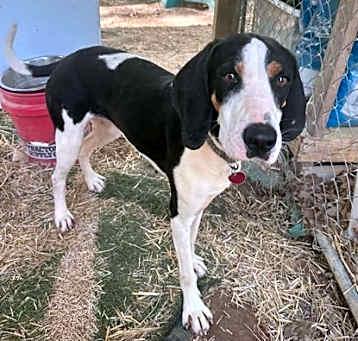 Photo of Maggie