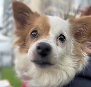 Photo of LuLu